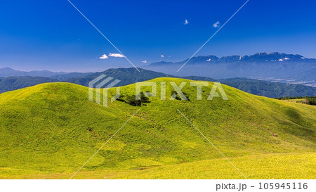 長野県・諏訪市 夏の霧ヶ峰から眺める中央アルプスの風景 105945116