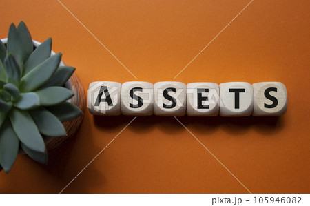 Assets symbol. Concept word Assets on wooden cubes. Beautiful orange background with succulent plant. Business and Assets concept. Copy space. 105946082