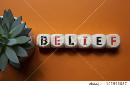 Belief symbol. Concept word Belief on wooden cubes. Beautiful orange background with succulent plant. Business and Belief concept. Copy space. 105946087