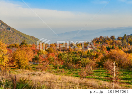 Autumn landscape in Greece  mountains 105947062