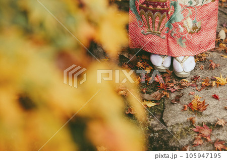 紅葉を背景にした着物 紅葉を背景にした着物 105947195