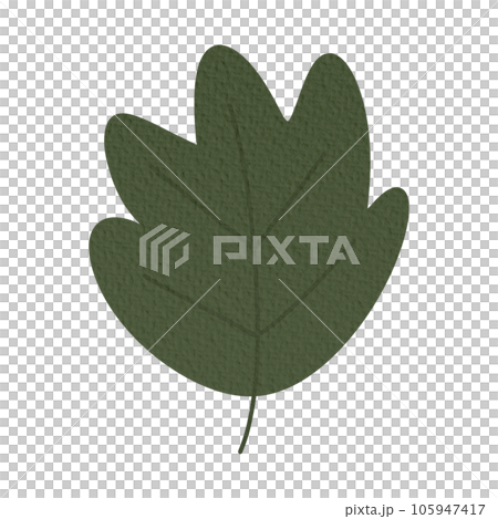 Autumn leaf maple illustration paper texture decoration Autumn leaf maple illustration paper texture decoration 105947417