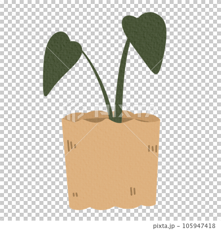 Plant pot paper texture 105947418