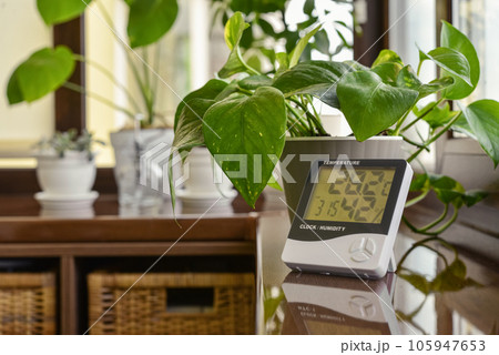 Thermometer hygrometer measuring the optimum temperature and humidity in a house 105947653