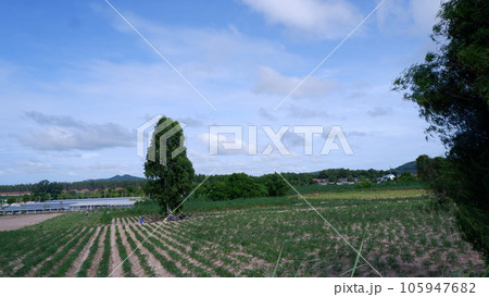 Banchang district 105947682