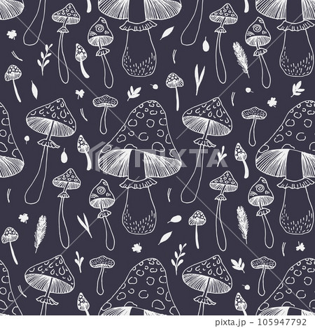 Mushroom caps, berries, fir branches, fir needles leaves for printing Mushroom caps, berries, fir branches, fir needles leaves for printing 105947792
