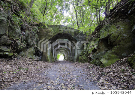 廃線跡や廃墟好きの方におすすめの熊延鉄道遺構　八角トンネル（熊本県美里町） 105948044