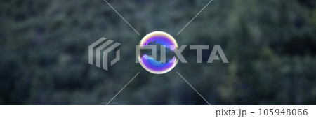 Wide view image of a delicate soap bubble floating freely outside 105948066