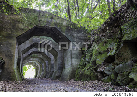 廃線跡や廃墟好きの方におすすめの熊延鉄道遺構　八角トンネル（熊本県美里町） 105948269
