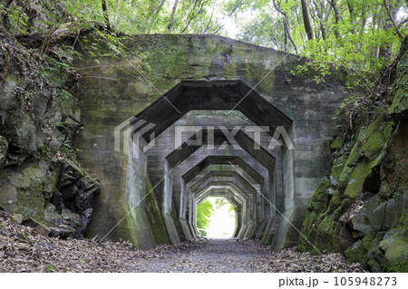 廃線跡や廃墟好きの方におすすめの熊延鉄道遺構　八角トンネル（熊本県美里町） 105948273
