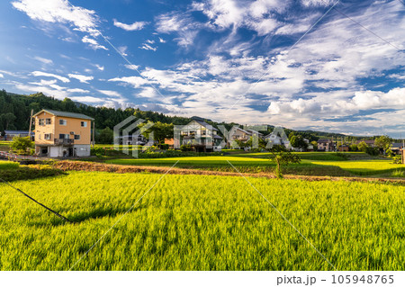 《新潟県》夏の田園風景・南魚沼 105948765