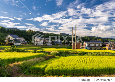 《新潟県》夏の田園風景・南魚沼 《新潟県》夏の田園風景・南魚沼 105948767
