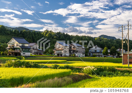 《新潟県》夏の田園風景・南魚沼 《新潟県》夏の田園風景・南魚沼 105948768