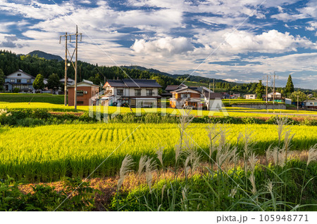 《新潟県》夏の田園風景・南魚沼 《新潟県》夏の田園風景・南魚沼 105948771