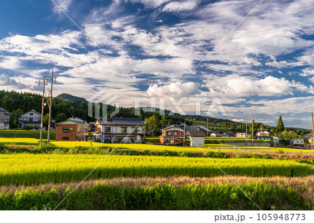 《新潟県》夏の田園風景・南魚沼 105948773