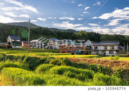《新潟県》夏の田園風景・南魚沼 105948774