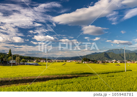 《新潟県》夏の田園風景・南魚沼 105948781