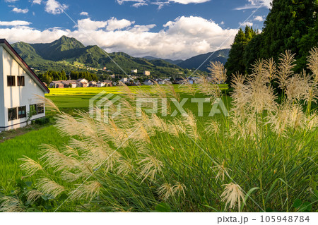 《新潟県》夏の田園風景・南魚沼 105948784