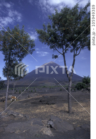 AFRICA CAPE VERDE FOGO VOLCANO 105949389