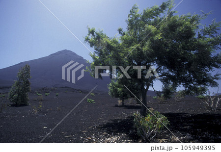 AFRICA CAPE VERDE FOGO VOLCANO AFRICA CAPE VERDE FOGO VOLCANO 105949395