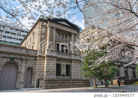 日本銀行と満開の桜　　東京都中央区日本橋 105949577