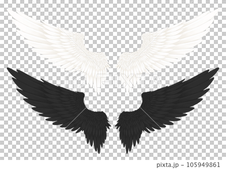 翼の白黒の絵