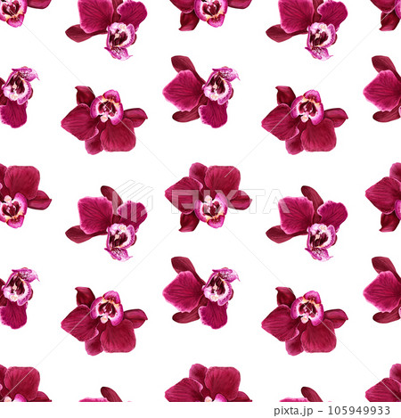 Watercolor seamless pattern with tropical flower orchid Phalaenopsis blooms. For wrapping, wallpaper, fabric, textile 105949933