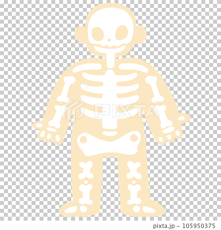 human skeleton body cartoon human skeleton body cartoon 105950375