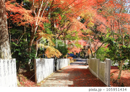 【香川県】四国霊場「第66番札所」紅葉した秋の雲辺寺 【香川県】四国霊場「第66番札所」紅葉した秋の雲辺寺 105951434