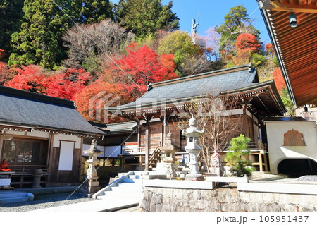 【香川県】四国霊場「第66番札所」紅葉した秋の雲辺寺(護摩堂) 【香川県】四国霊場「第66番札所」紅葉した秋の雲辺寺(護摩堂) 105951437