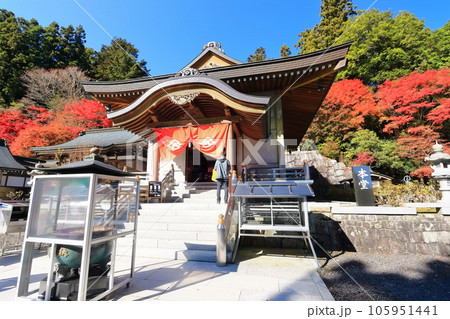 【香川県】四国霊場「第66番札所」紅葉した秋の雲辺寺（国宝本堂） 105951441