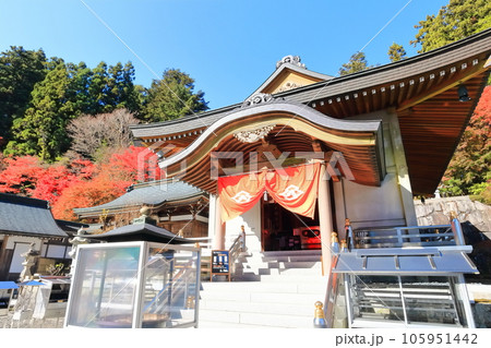 【香川県】四国霊場「第66番札所」紅葉した秋の雲辺寺(国宝本堂) 【香川県】四国霊場「第66番札所」紅葉した秋の雲辺寺(国宝本堂) 105951442