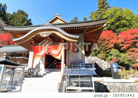 【香川県】四国霊場「第66番札所」紅葉した秋の雲辺寺（国宝本堂） 105951443