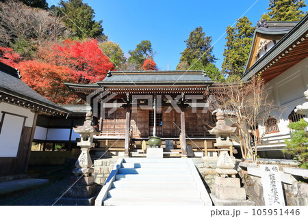 【香川県】四国霊場「第66番札所」紅葉した秋の雲辺寺（護摩堂） 105951446