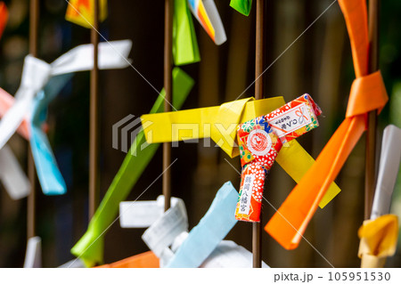 神奈川県鎌倉市　鶴岡八幡宮のおみくじ 105951530