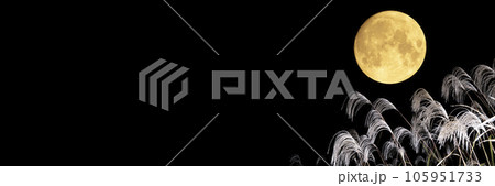 満月とススキ。秋の夜。お月見。 満月とススキ。秋の夜。お月見。 105951733