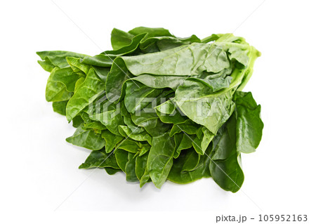 つるむらさき つるむらさき 105952163