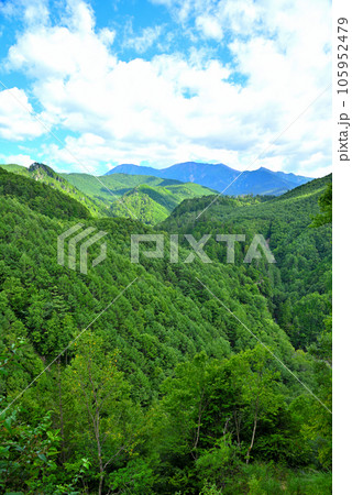 《岐阜県》下呂市　溶岩流展望台から夏の御嶽山の山並み 105952479
