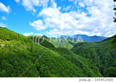 《岐阜県》下呂市　溶岩流展望台から夏の御嶽山の山並み 105952480