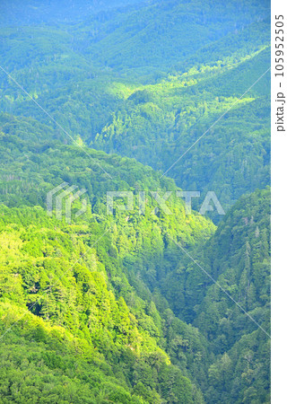 《岐阜県》下呂市　溶岩流展望台から夏の御嶽山の山並み 105952505