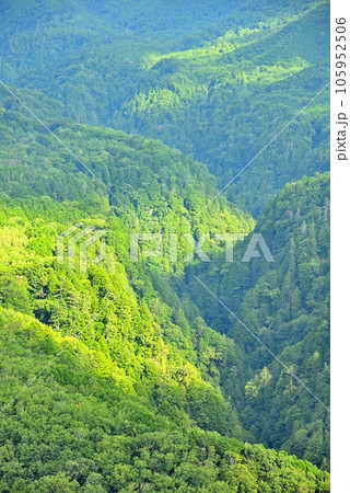 《岐阜県》下呂市 溶岩流展望台から夏の御嶽山の山並み 《岐阜県》下呂市 溶岩流展望台から夏の御嶽山の山並み 105952506