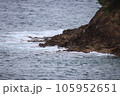 磯に打ち寄せる波 105952651