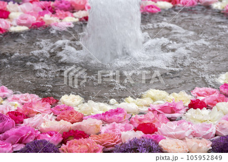 水に浮かぶ花手水　花手水 105952849