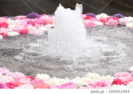 水に浮かぶ花手水 花手水 水に浮かぶ花手水 花手水 105952904