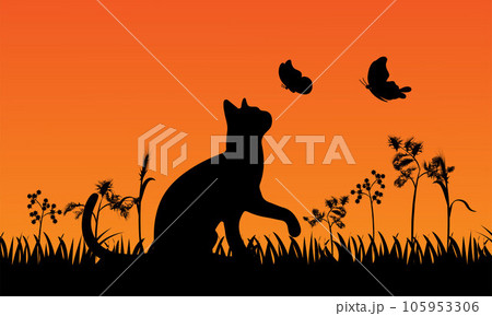 Cat with butterfly, cats and butterflies Cat with butterfly, cats and butterflies 105953306