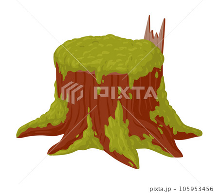 Cartoon moss growing on stump. Swamp moss on rotten stump, rainy forest lichen plants flat vector illustration on white background 105953456