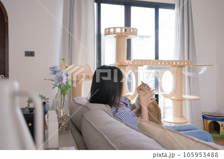 pet lover concept by asian woman she work and play with her cat 105953488