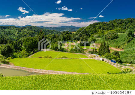 《新潟県》夏の棚田・里山の風景 105954597