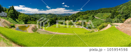 《新潟県》夏の棚田・里山の風景 105954598
