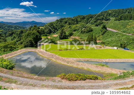 《新潟県》夏の棚田・里山の風景 105954602